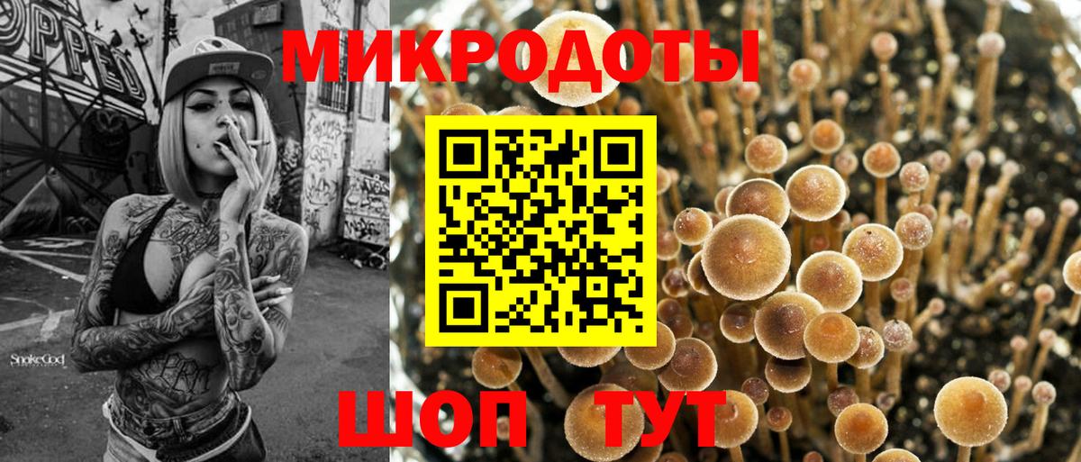 Псилоцибиновые грибы мухоморы Бор