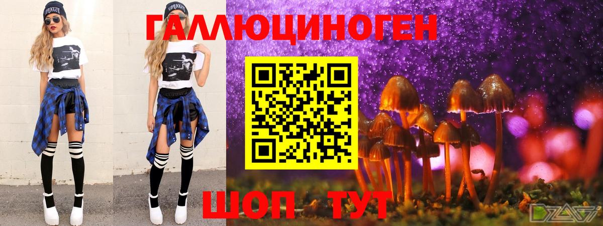 Псилоцибиновые грибы мицелий  Бор  Псилоцибиновые грибы мухоморы 