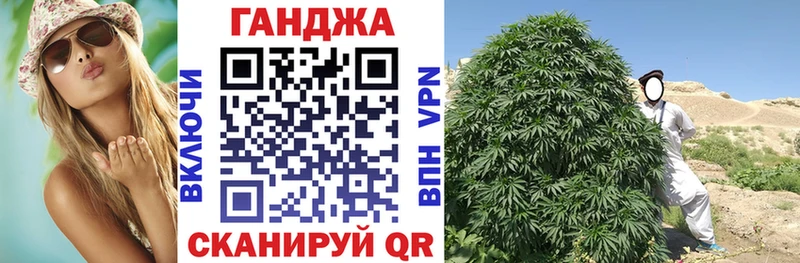 OMG   Бор  Марихуана сатива  как найти наркотики 